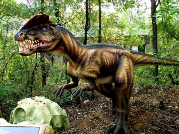 �����������