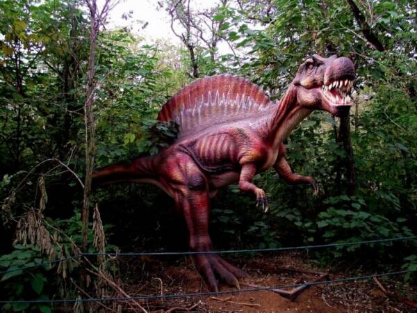 �����������