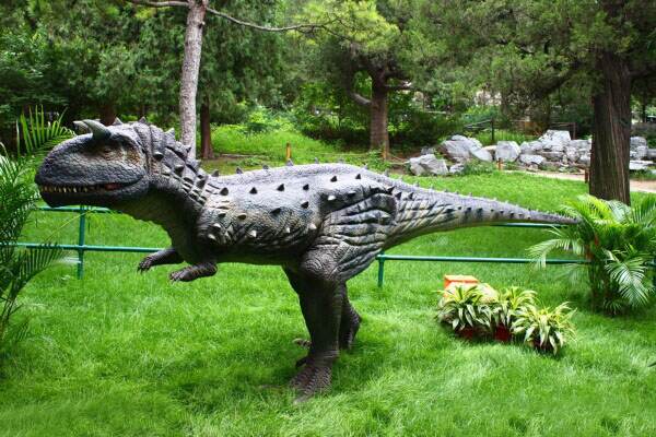 �����������