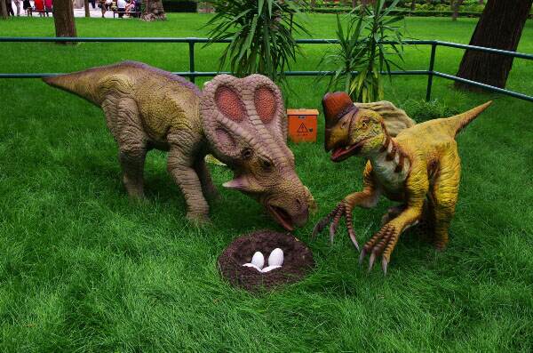 �����������